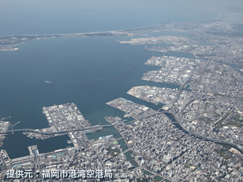 輸出入通関業務